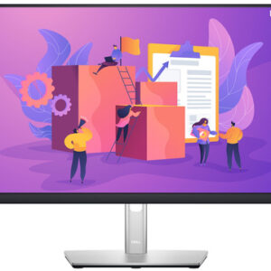 Dell P2422H 24 A