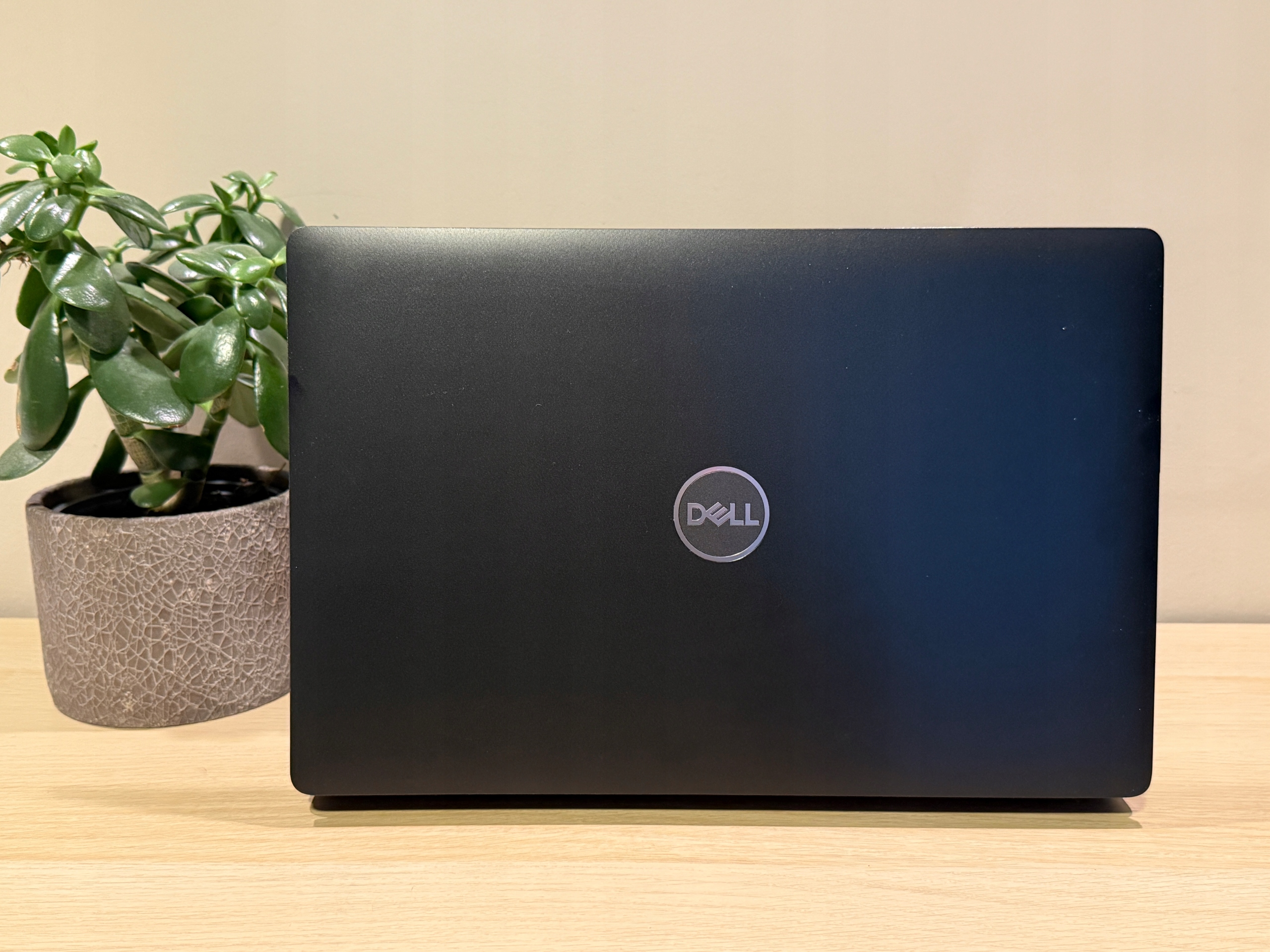 Laptop Dell Precision 3541 15,6 i7-9850H 16GB 1TB SSD Nvidia Windows 11 - obrazek 5